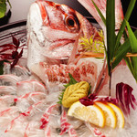 釣船茶屋ざうお - メイン写真: