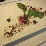 NARISAWA - 採れたてのラディッシュ