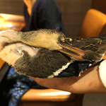 ドディチ・マッジョ - 