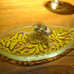 ドディチ・マッジョ - 