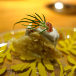 ドディチ・マッジョ - 