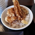 みぞれ - 小海老天丼