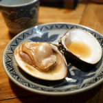 ヤマト - 特大はまぐり