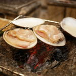 ヤマト - 特大はまぐり ¥1,000