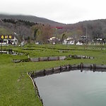 山本養鱒場 - 釣堀