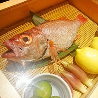 のどぐろ専門 銀座 中俣 - 
