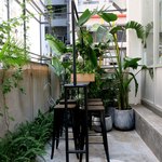 No Milkshake No Life - 