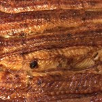 うなぎ川勢 - うなぎアップ