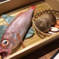 のどぐろ専門 銀座 中俣 - 