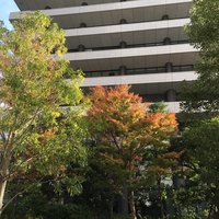 キャトルラパン - 
