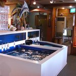 海鮮料理 美加茂 - 生け簀にはお魚や貝類などがいます♪