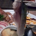 キャトルラパン - とりあえずの鯖リフト