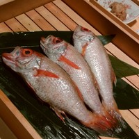 ささら庭 - 