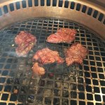 赤いとうがらし - 