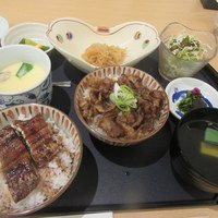 うなぎ･ひつまぶし炭櫓 京都四条河原町店 - おすすめランチ