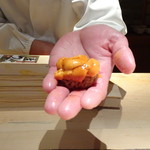 菊鮨 - ◆雲丹（昆布森）・・昆布森の雲丹は美しいですね。甘いこと。