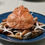 グランド ダイア - 鳥取県産松葉蟹