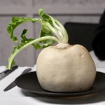 グランド ダイア - 聖護院かぶら