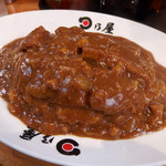 Hinoya Kare Hanzou Monten - カツカレー大盛（840円）
      