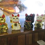 味処花しょく - ネコ４匹いました