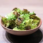 USHIGORO S. - チョレギサラダ