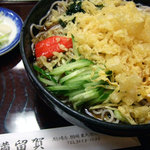 満留賀 - 冷やしたぬきそば800円