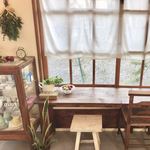 サンセット クッキーズ ジャスミン - 