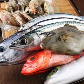 Carefully selected seasonal local fish caught in Sagami Bay!