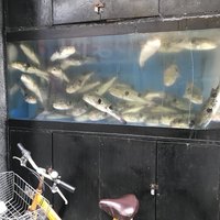 とらふぐ亭 池袋東口店 - 