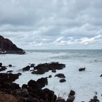 中華そば処 琴平荘 - 