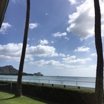 Orchids - ダイヤモンドヘッド