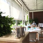 Orchids - 穏やかですね