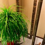 レストランエキリーブレ - 