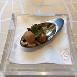 クイントカント - 