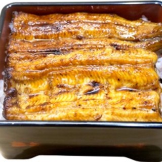 鹿児島産【新仔うなぎ】を使用した絶品うなぎ料理