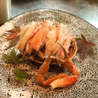 晴庵 - 