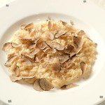 ALBERO - 