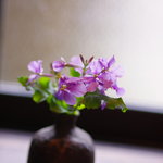 旅舎右馬允 - 厠（かはや）の花（はな）