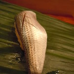 すし割烹 鮓はる - 2011年4月