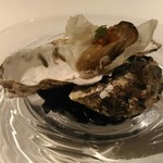 Vel  ROsier - 牡蠣　柿