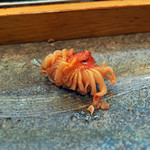 寿司栄 - 閖上の赤貝の握り