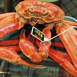 寿司栄 - 黄金蟹！