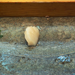 寿司栄 - 天然のホタテ