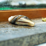 寿司栄 - こはだの握り