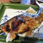 柳家 - 卵をいっぱい抱えた 馬瀬川の子持鮎。この大きさは素晴らしいです。