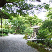 京大和 - 