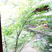京大和 - 