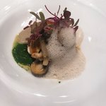 ジョンティ アッシュ - 