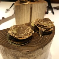マルゴット エ バッチャーレ - 