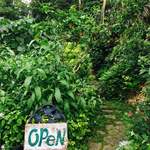 カフェぽぷり - 